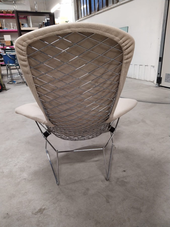 Knoll Bertoia Bird Chair